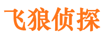 岳池外遇出轨调查取证